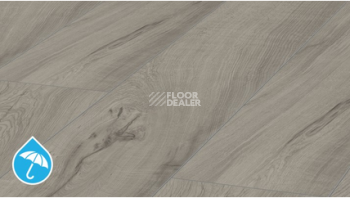 Ламинат Kronotex Mammut Plus d4671 Дуб Магнум Серый фото 1 | FLOORDEALER